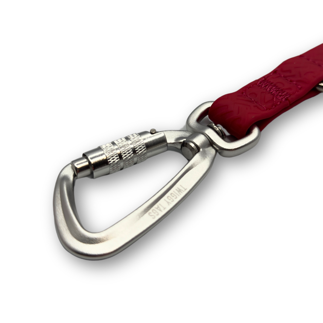 Twiggy Tags Tidal Waterproof Lead