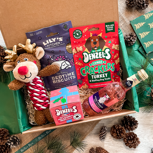 The Dog's Christmas Eve Box
