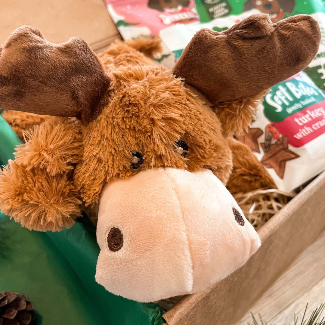 The Dog's Christmas Treat Box
