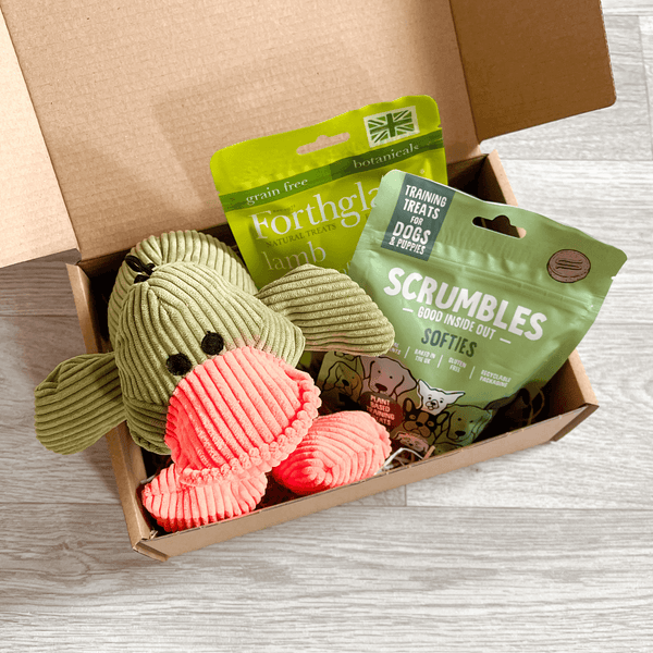 The Green Dog Gift Box
