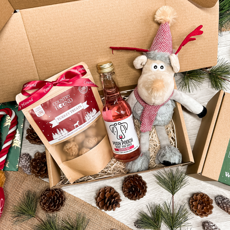 Rudolph's Festive Dog Treat Box