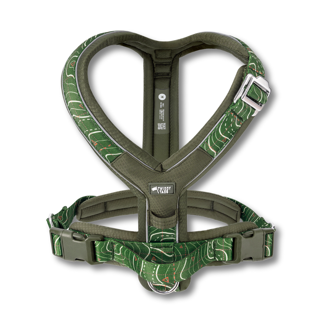 Apex Harness - Nomad
