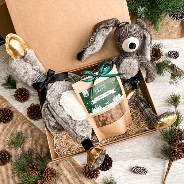 The Enchanting Dog Gift Box