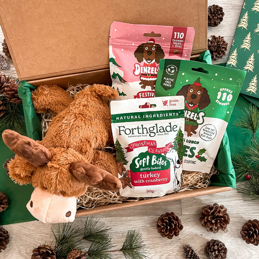The Dog's Christmas Treat Box