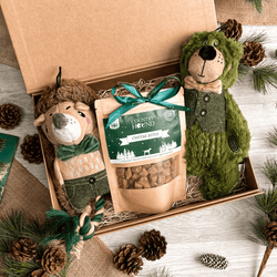 The Forestry Dog Gift Box