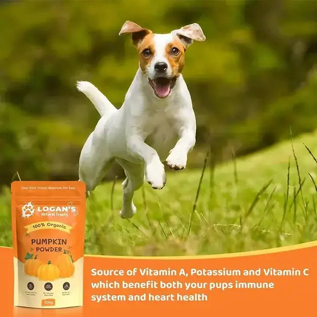 Organic Pumpkin Powder - Digestion Supplement