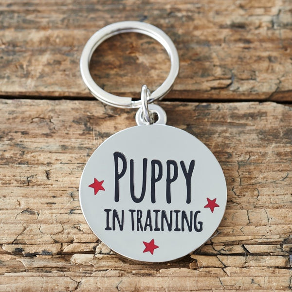 Puppy in Training Tag