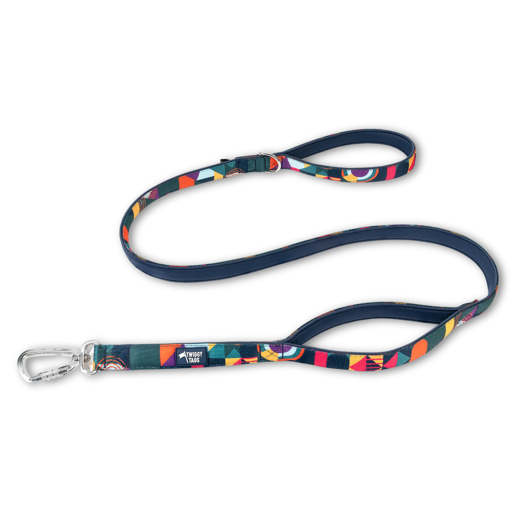 Adventure Close Control Lead 2.0 - Aurora