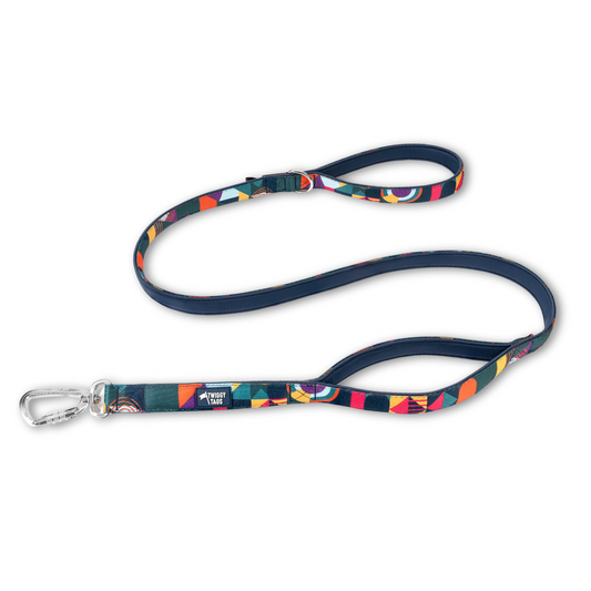 Adventure Close Control Lead 2.0 - Aurora