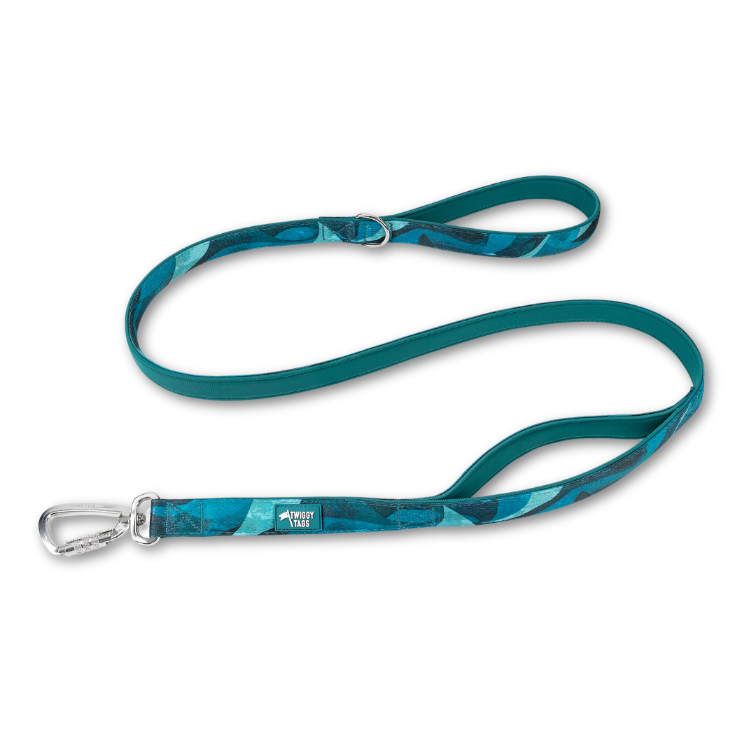 Adventure Close Control Lead 2.0 - Lagoon