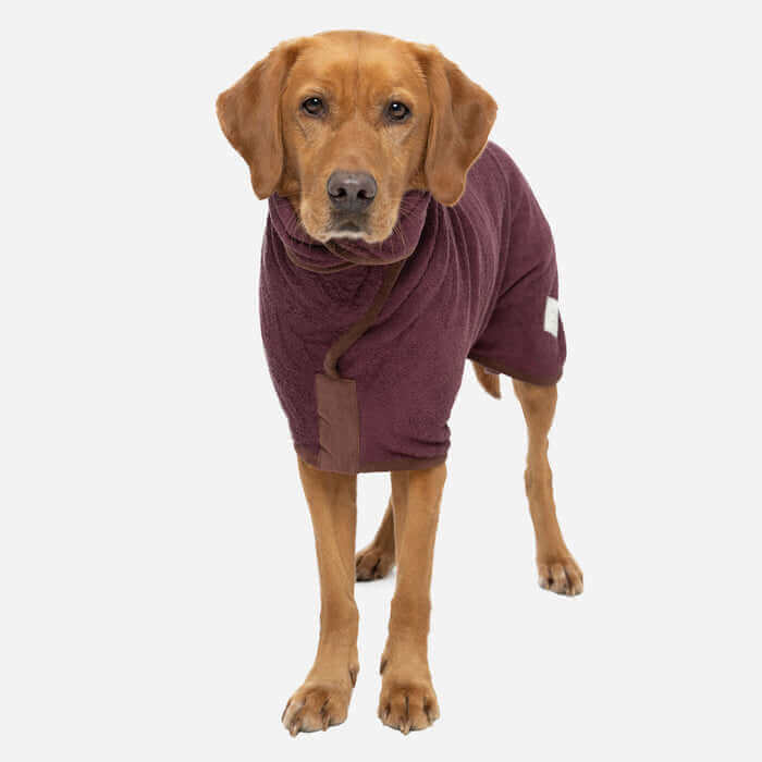Country Dog Drying Coat