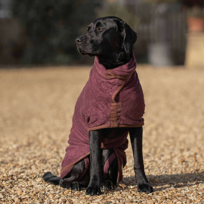 Country Dog Drying Coat