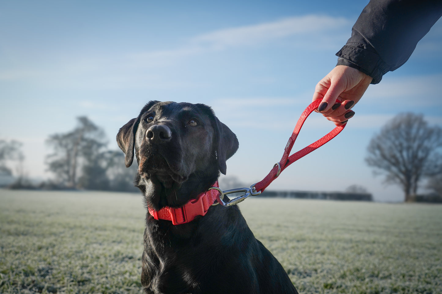 Twiggy Tags Tidal Waterproof Grab Handle