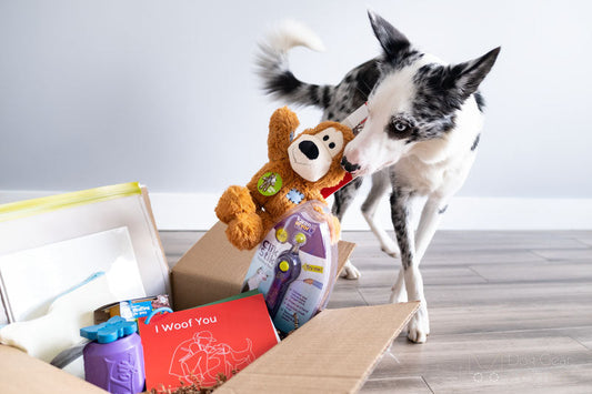 BYO Dog Gift Box