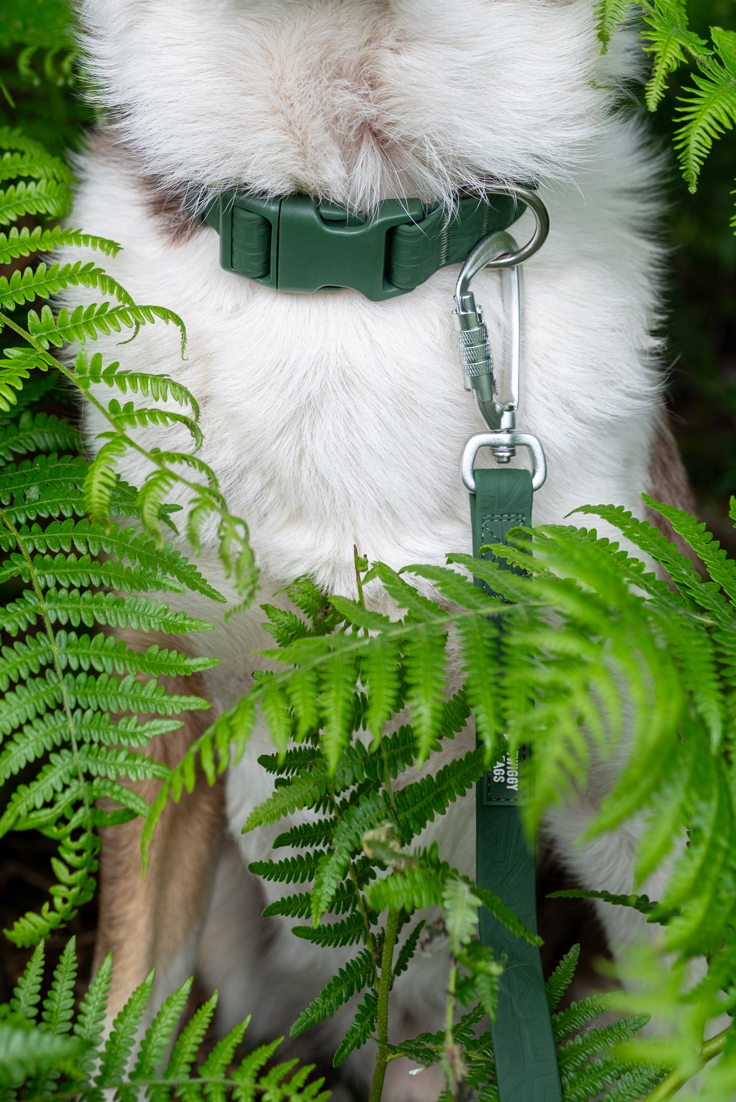 Twiggy Tags Tidal Waterproof Collar