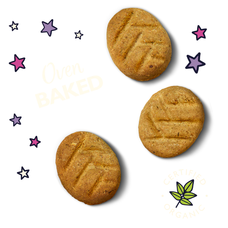 Bedtime Biscuits