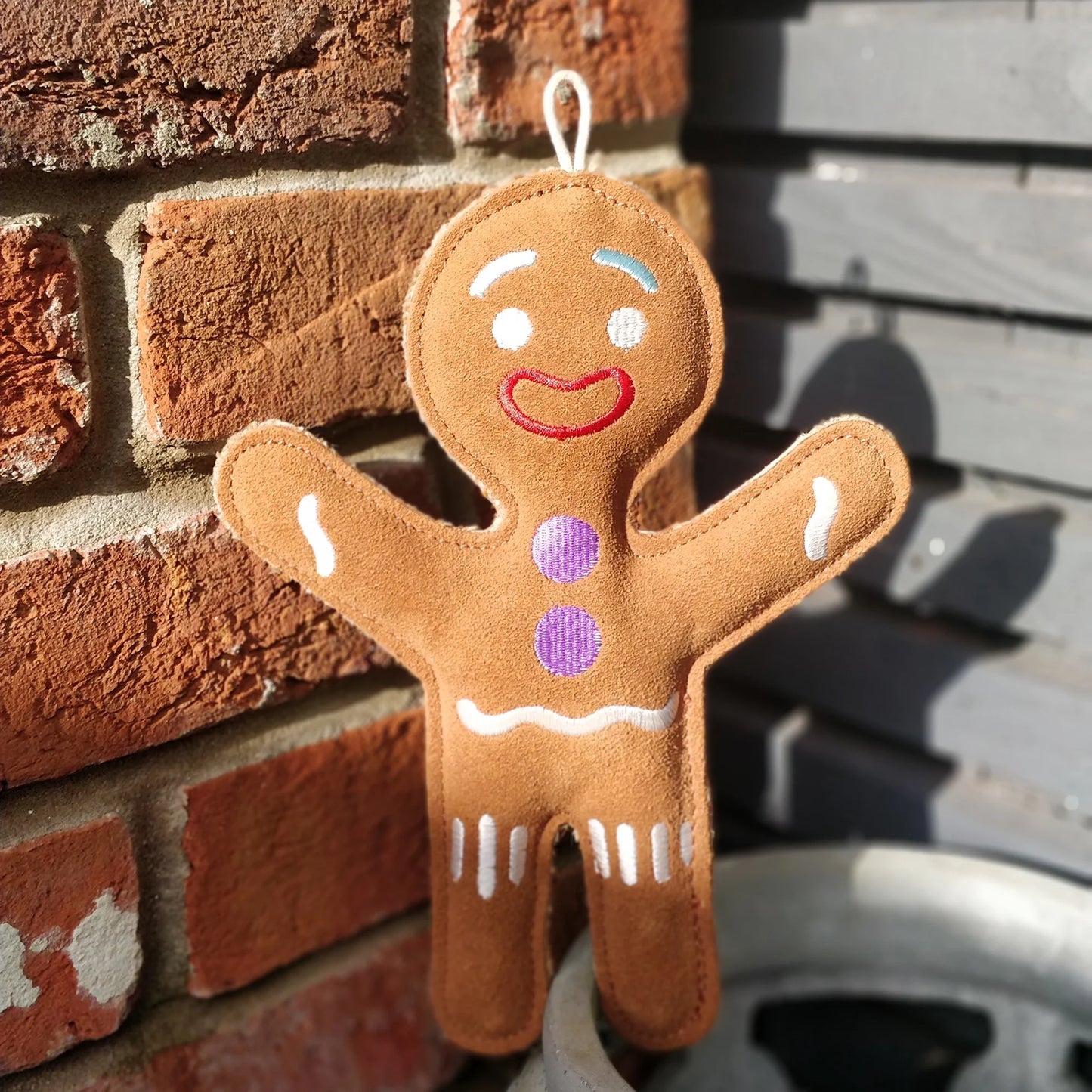Jean Genie the Gingerbread Person, Eco Dog Toy