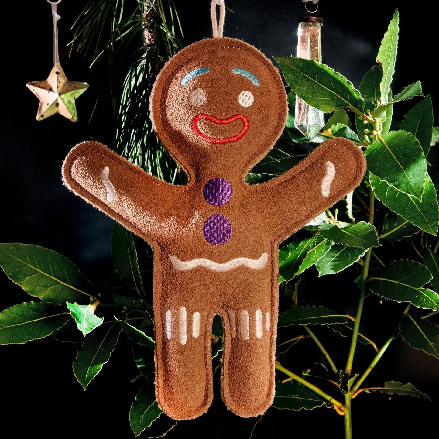 Jean Genie the Gingerbread Person, Eco Dog Toy