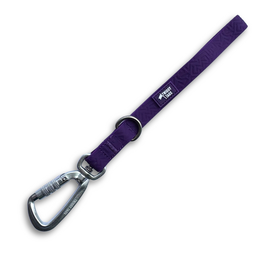 Twiggy Tags Tidal Waterproof Grab Handle