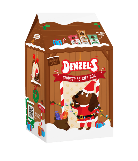 Christmas Grotto Gift Box for Dogs 175g