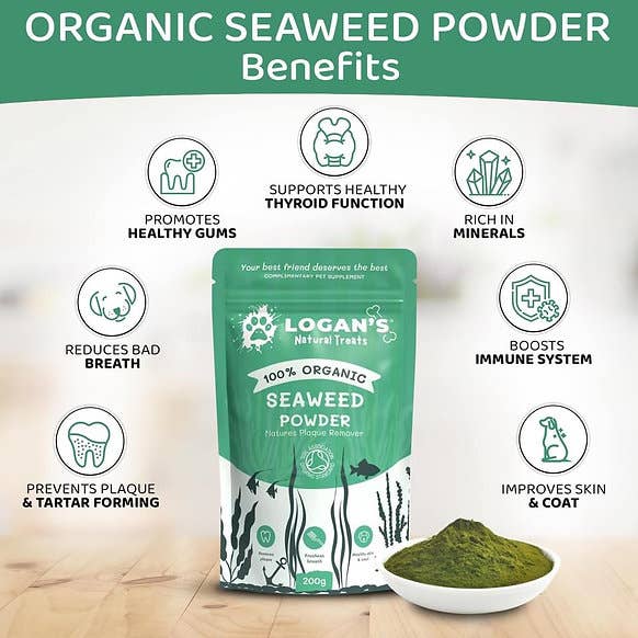 Organic Seaweed Powder - Dental Hygiene Supplement