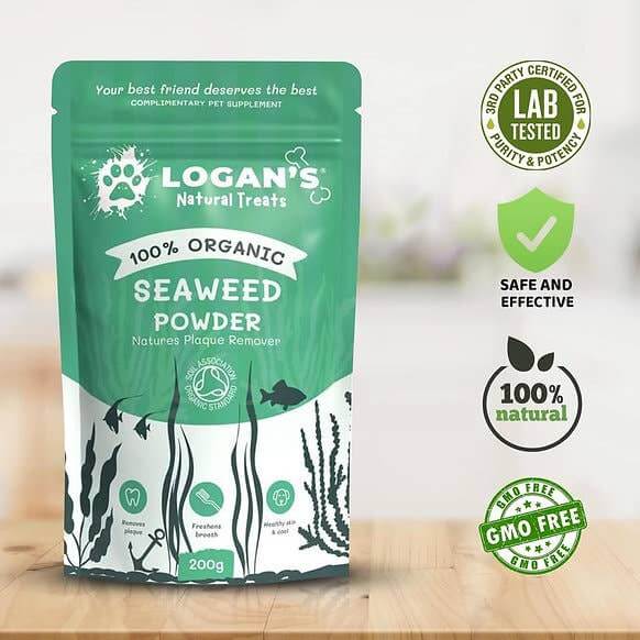 Organic Seaweed Powder - Dental Hygiene Supplement