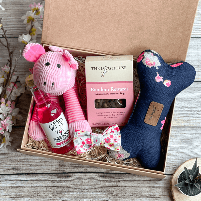 Pooch box deals