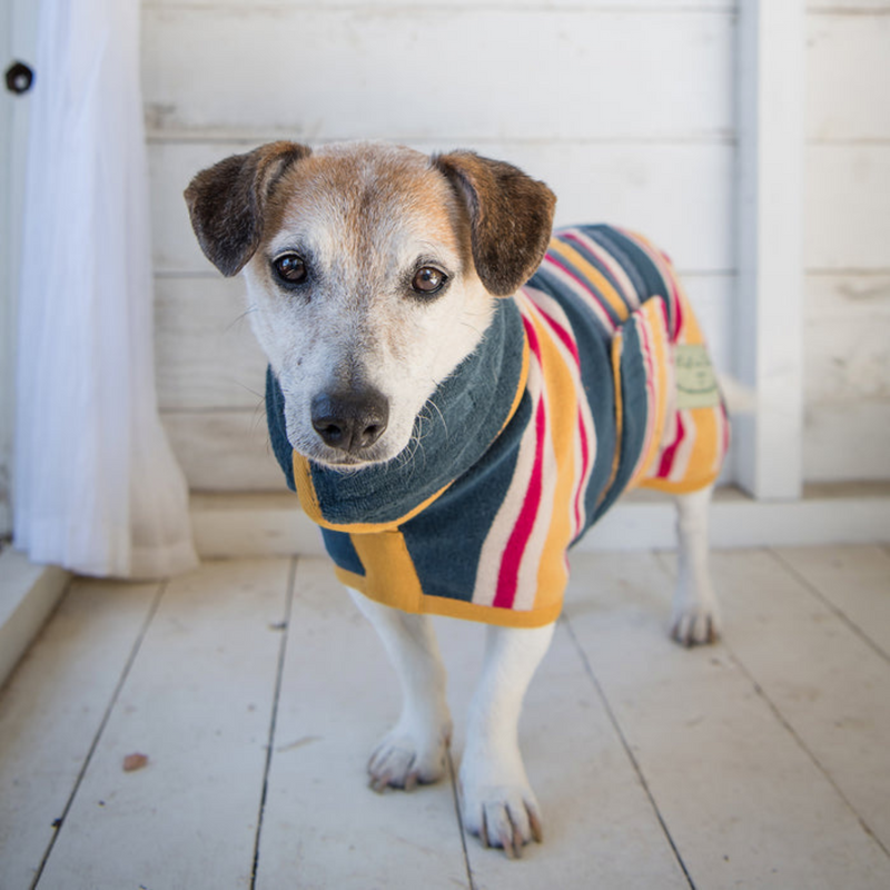 Dog Drying Coat | Designer Drying Coat | Bella's Box