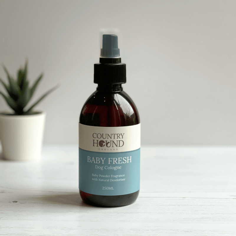 Baby discount cologne uk