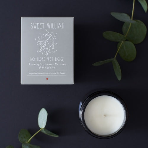 'No More Wet Dog' Organic Candle