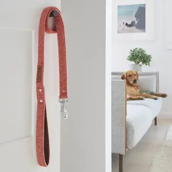 Orange Tweed Dog Lead