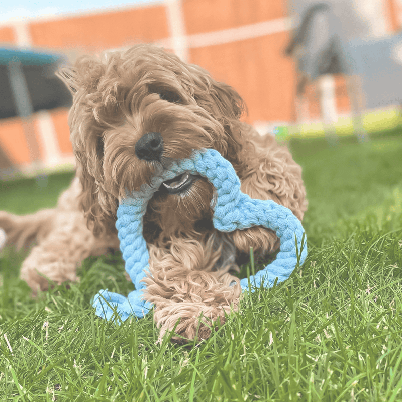 Heart Rope Toy - Baby Blue