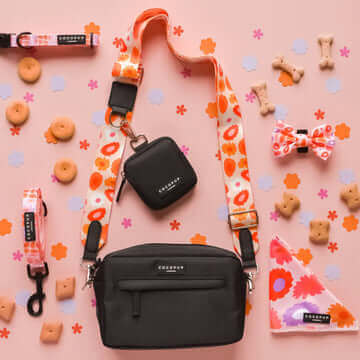 Dog Walking Black Bag Bundle - Abstract Flowers